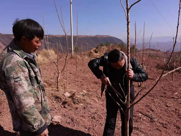 图片1_副本.png