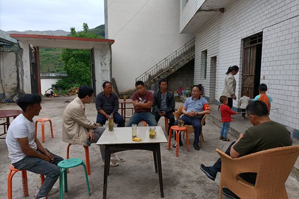 茶叶.jpg