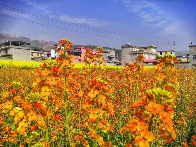 52e25b78a741ce01681bb40b2e66d75_副本.jpg