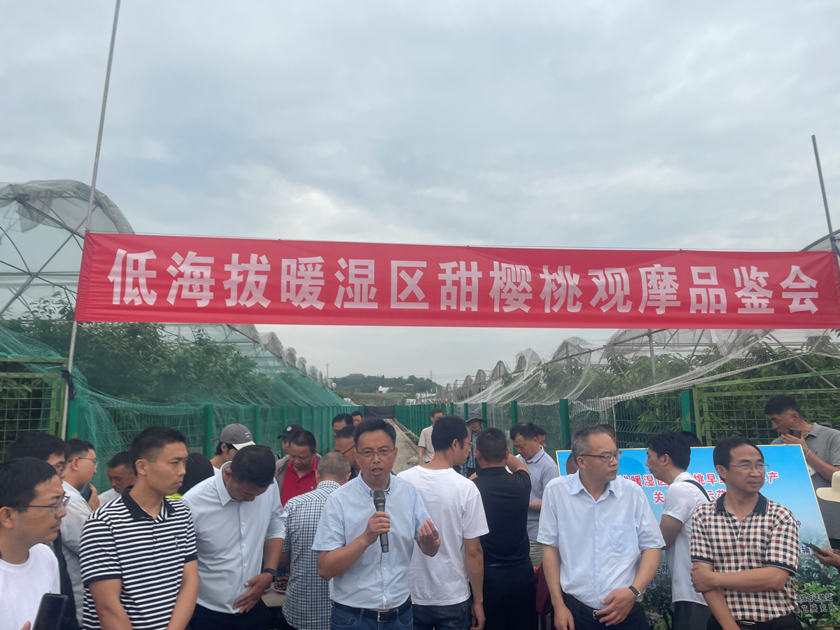 图片11.png