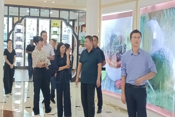 12（考察宁南县茧丝绸工业集中发展区现场）.jpg