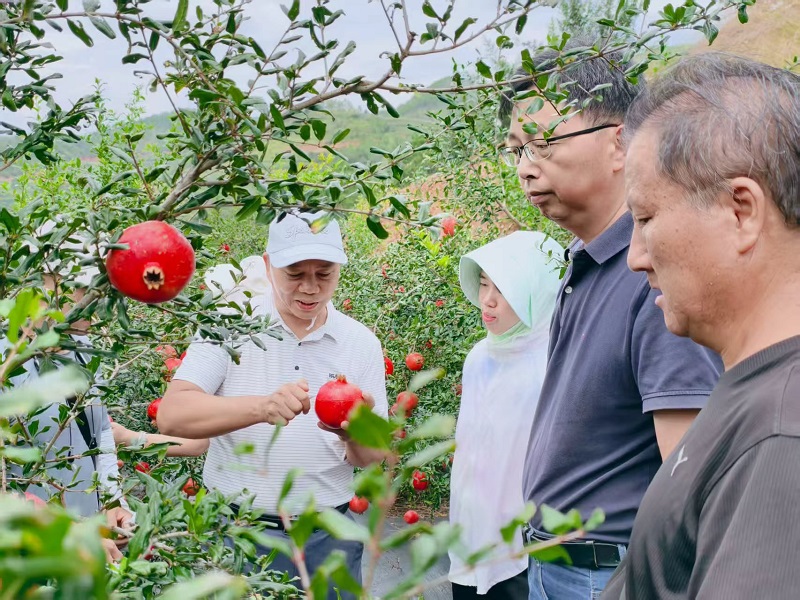 修改后.jpg